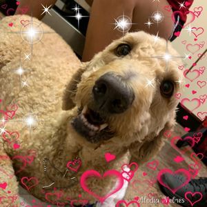 Meet your Posher, Kerri